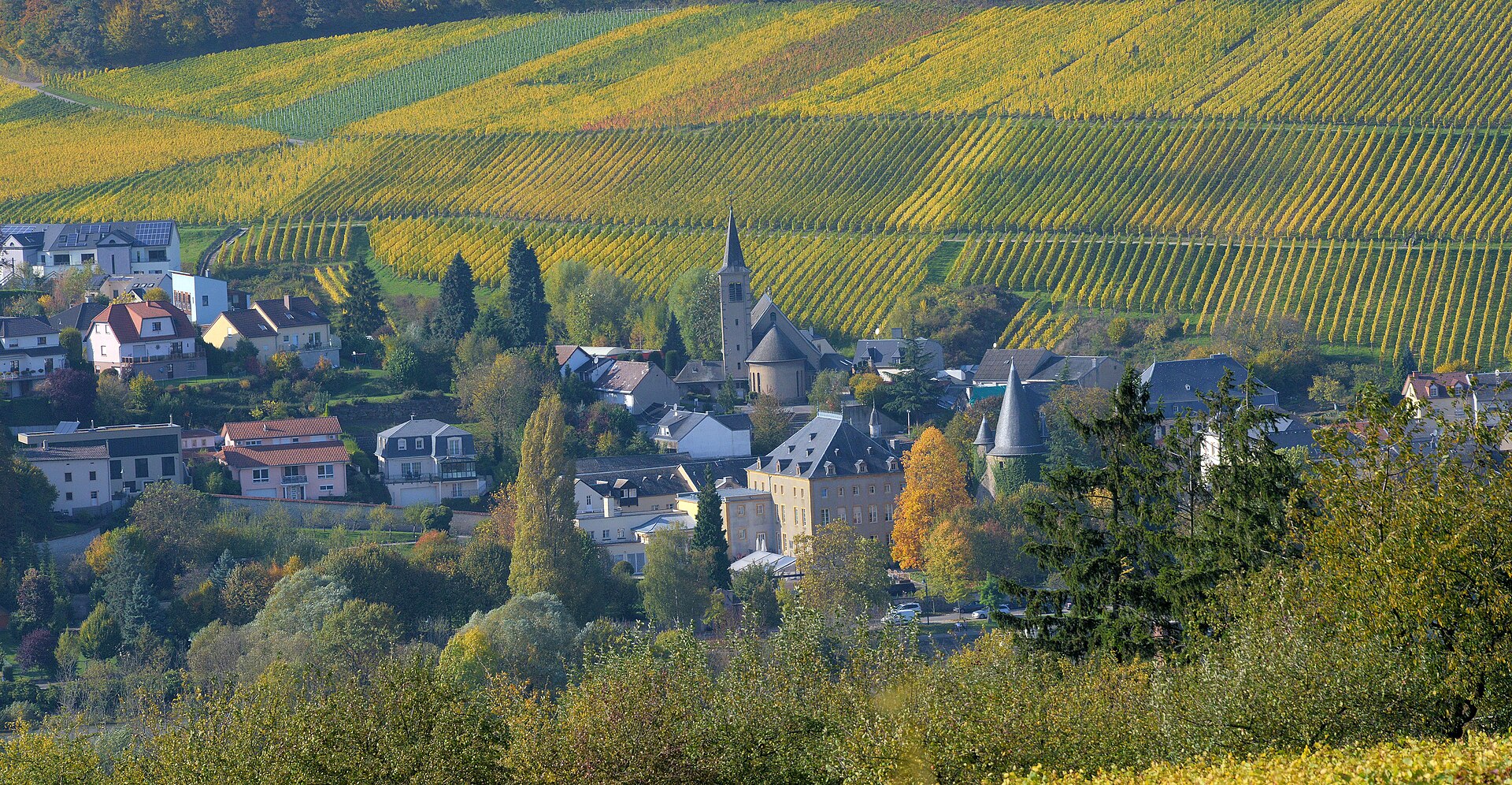 Luxembourg autumn Moselle vineyards